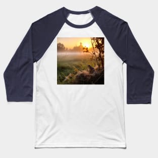 Sunrise over a green meadow fog rises in the summer and frog sitting on the front Baseball T-Shirt